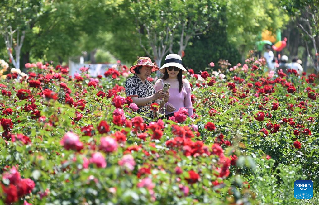 People enjoy early summer across China