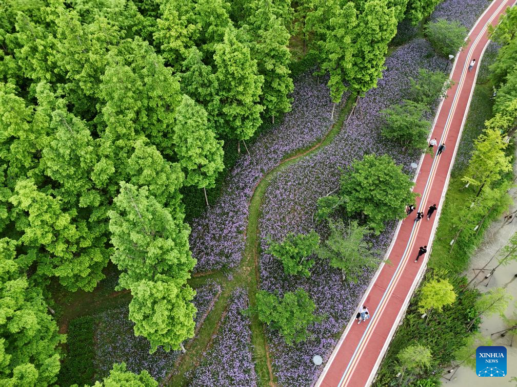 People enjoy early summer across China