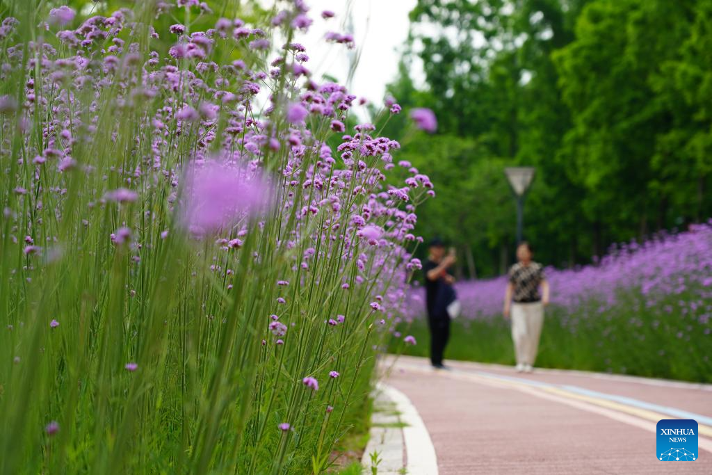 People enjoy early summer across China