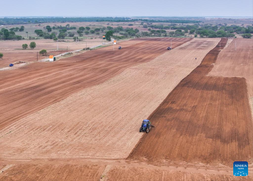 Corn sowing enters peak period in China's Inner Mongolia