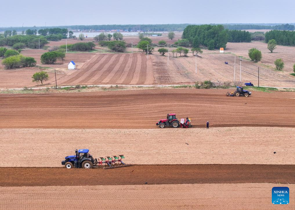 Corn sowing enters peak period in China's Inner Mongolia