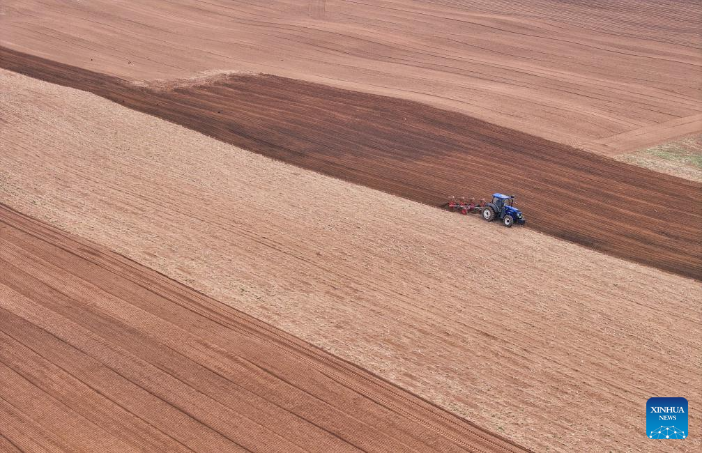 Corn sowing enters peak period in China's Inner Mongolia