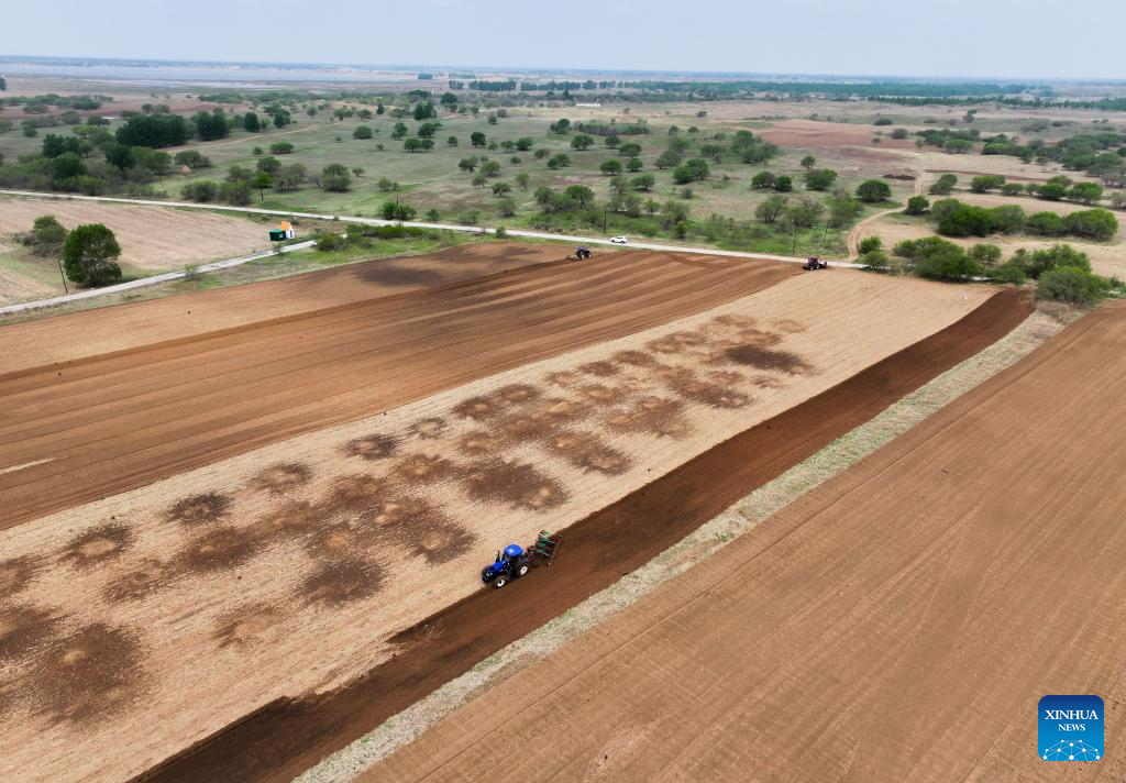 Corn sowing enters peak period in China's Inner Mongolia