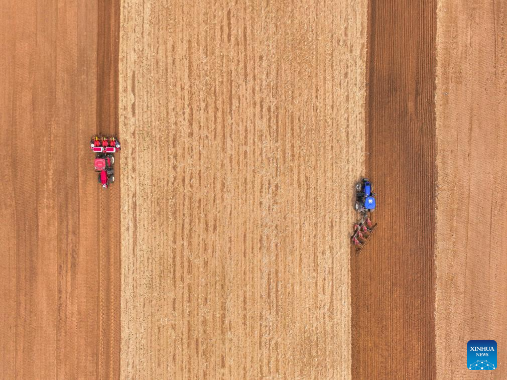 Corn sowing enters peak period in China's Inner Mongolia