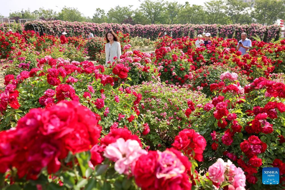 Tourism Day marked across China