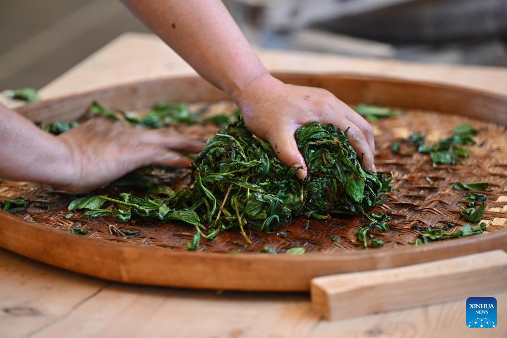 A glimpse of thriving tea industry in Wuyishan, China's Fujian