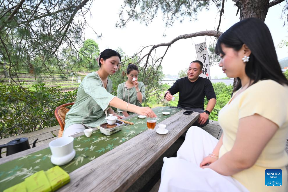 A glimpse of thriving tea industry in Wuyishan, China's Fujian