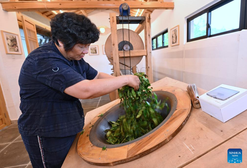 A glimpse of thriving tea industry in Wuyishan, China's Fujian