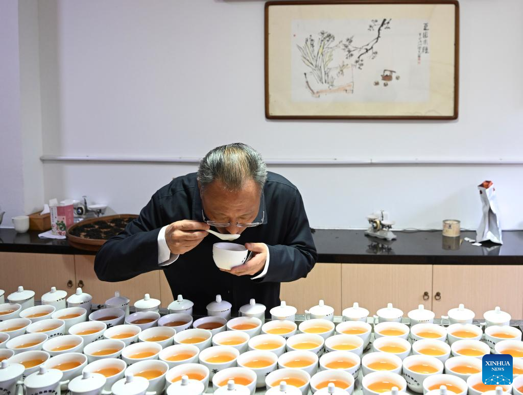 A glimpse of thriving tea industry in Wuyishan, China's Fujian