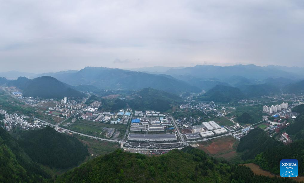 Tea industry specialist dedicates to promoting matcha in SW China's Guizhou