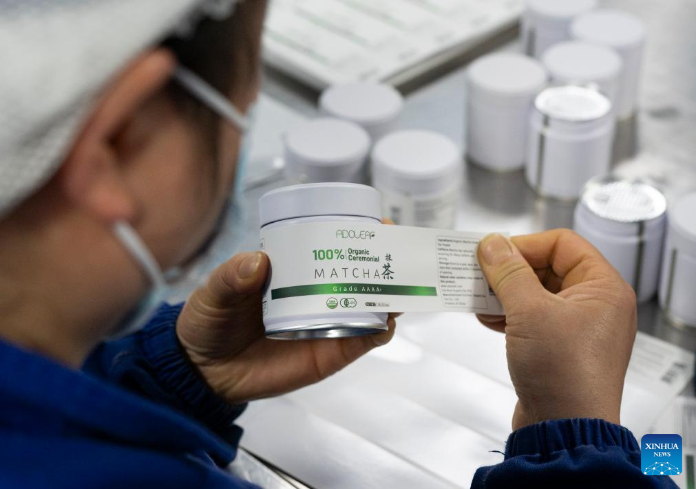 Tea industry specialist dedicates to promoting matcha in SW China's Guizhou