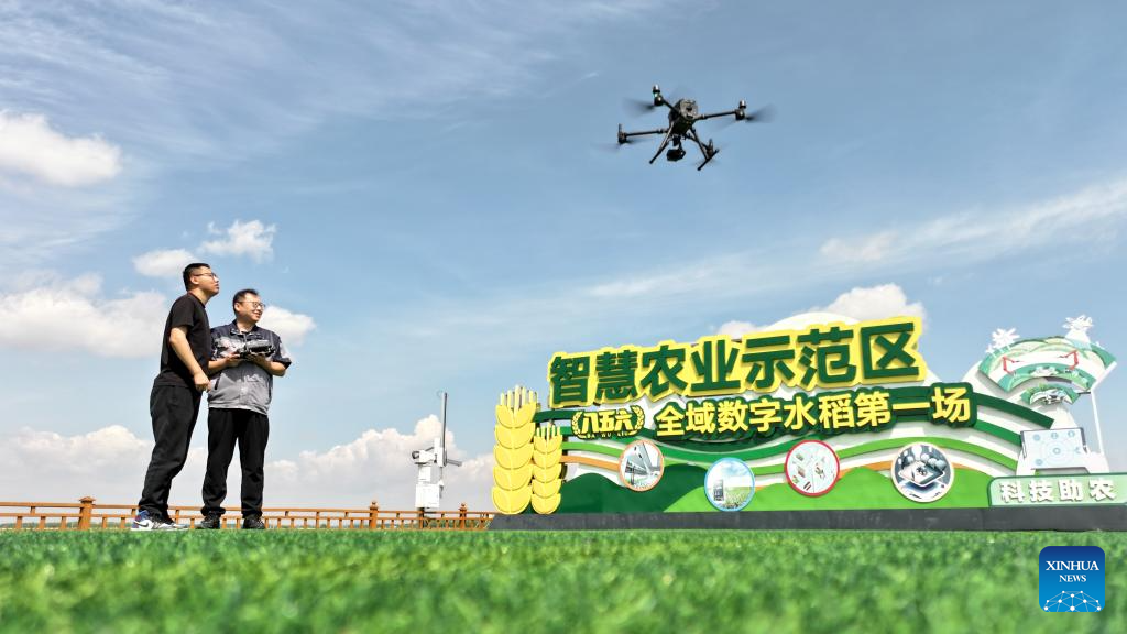 Farmers busy with their work upon Chinese solar term Xiaoman
