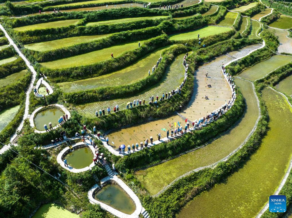 Farmers busy with their work upon Chinese solar term Xiaoman