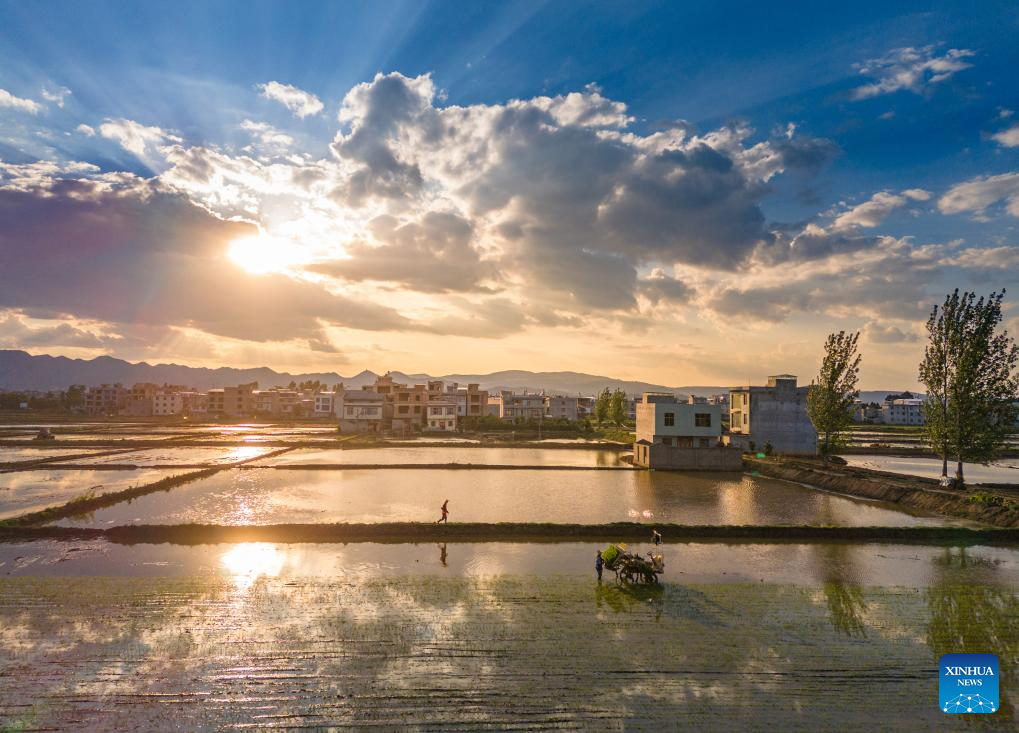 Farmers busy with their work upon Chinese solar term Xiaoman