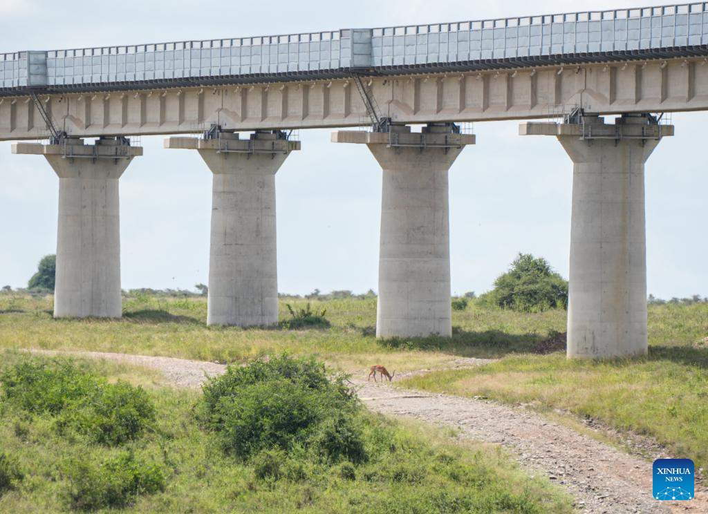 Chinese ingenuity, African ecology: how a railway becomes Kenya's green artery