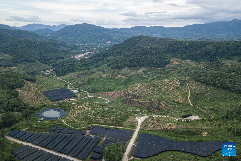 Baoting county of S China's Hainan develops durin industry in support of rural revitalization