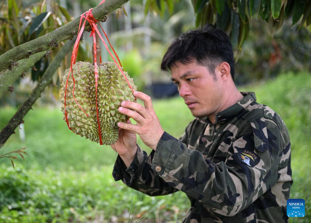 Baoting county of S China's Hainan develops durin industry in support of rural revitalization