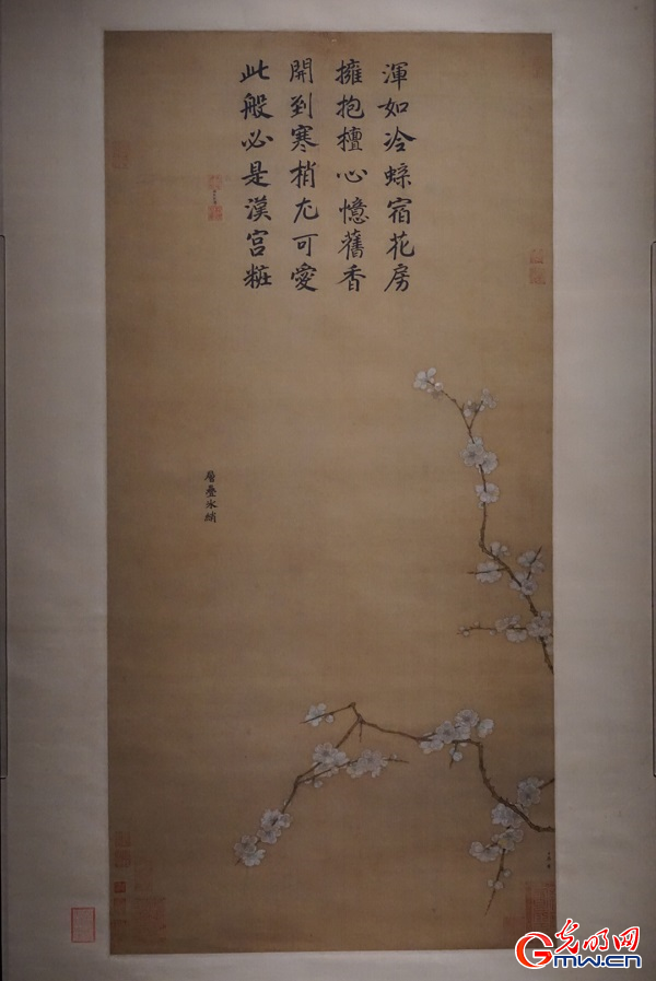 Palace Museum traces history through garden-themed exhibition