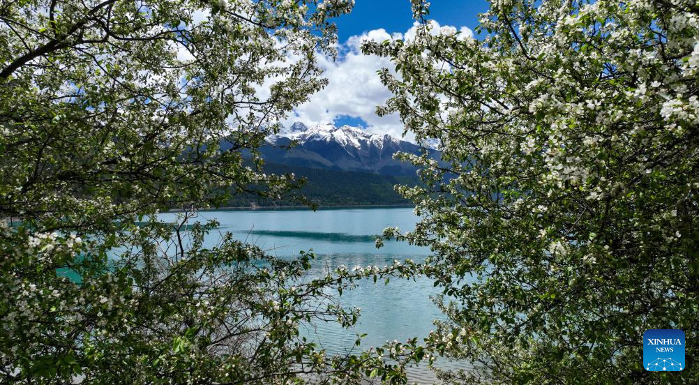 Scenery of Basum Tso in Xizang, SW China