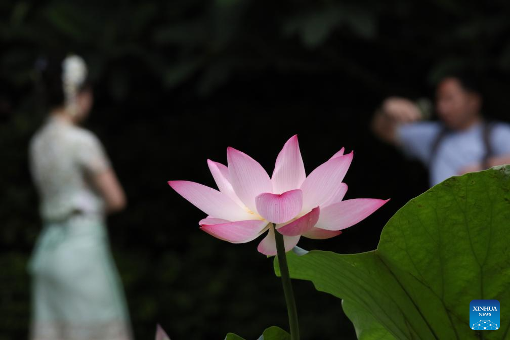 People enjoy 3-day holiday of Dragon Boat Festival across China