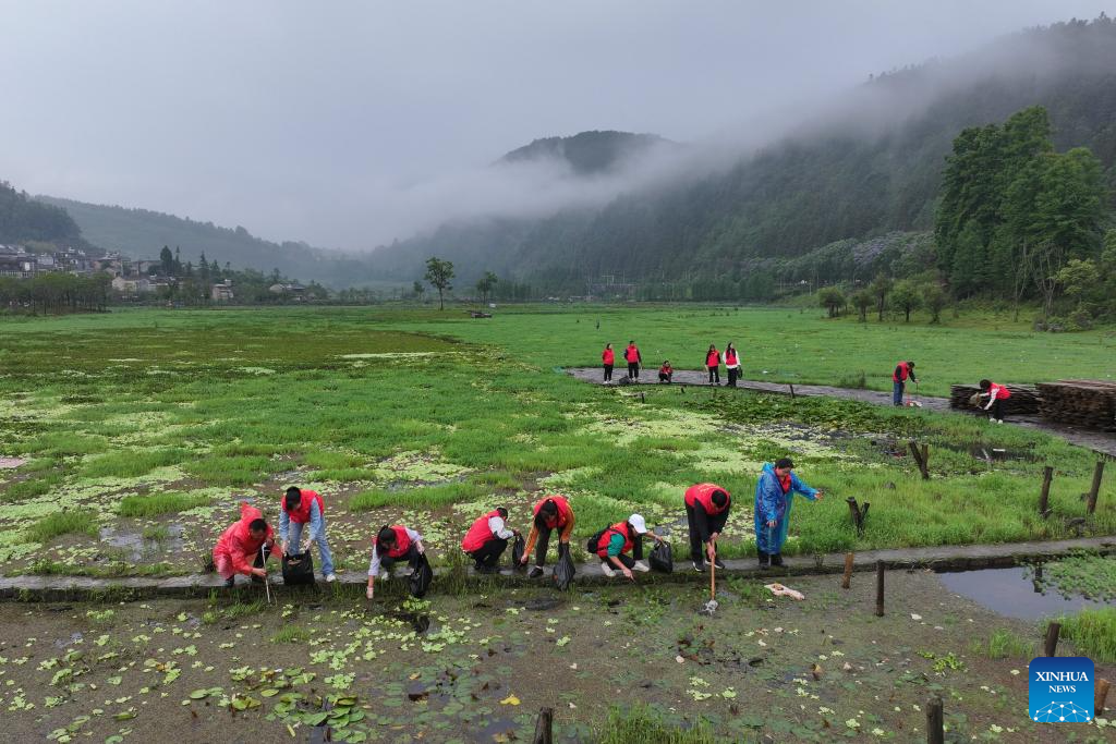 Various events held across China to mark World Environment Day