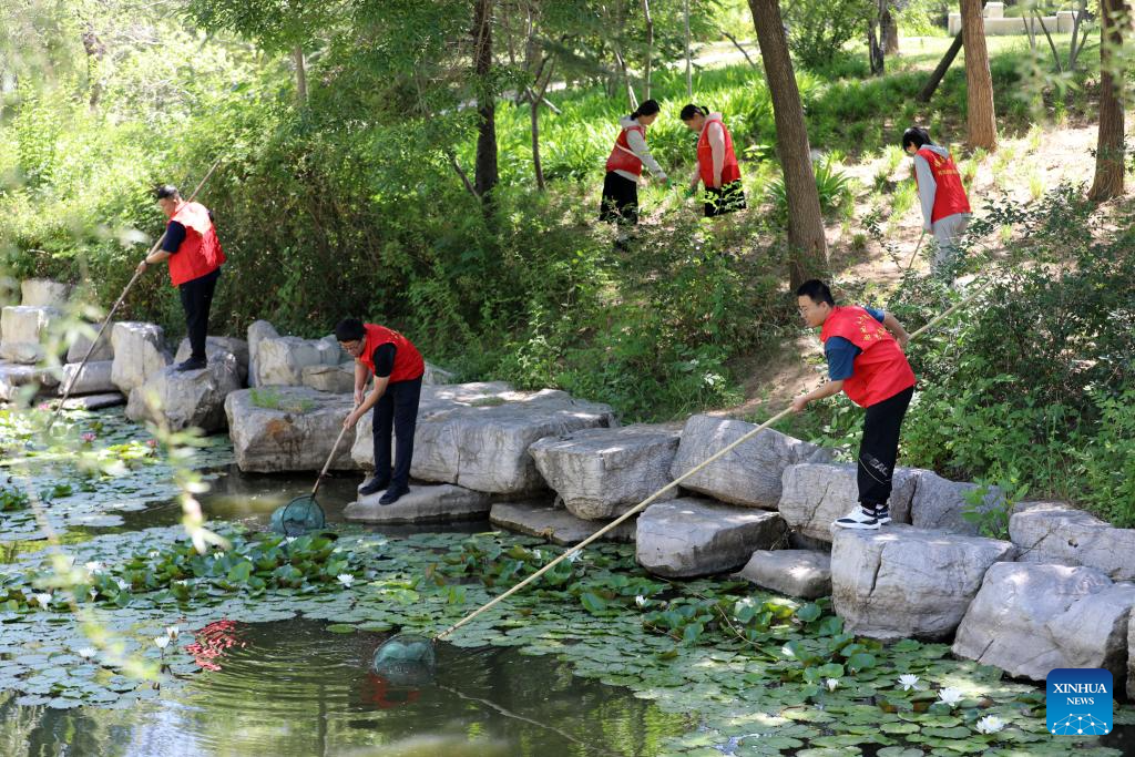 Various events held across China to mark World Environment Day