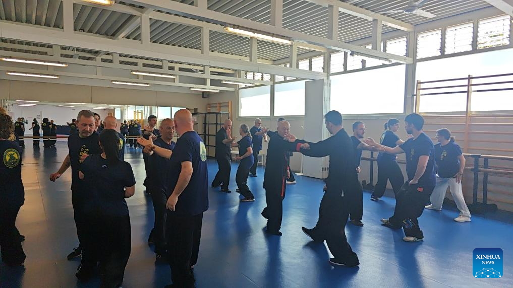 From Shandong to Spain: Chinese martial arts inspire cross-cultural exchange