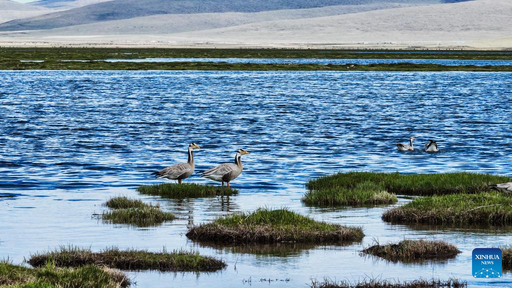 Scenery of Qinghai Longbao National Nature Reserve