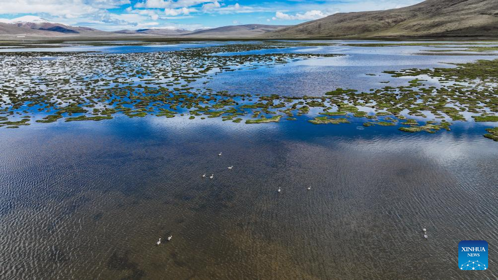 Scenery of Qinghai Longbao National Nature Reserve