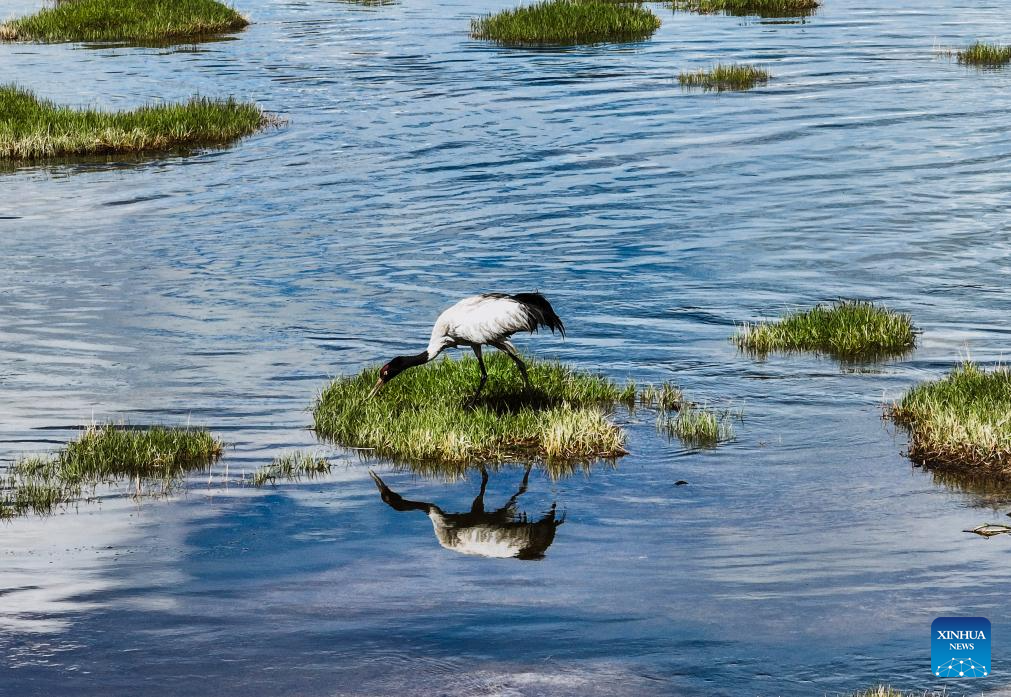Scenery of Qinghai Longbao National Nature Reserve