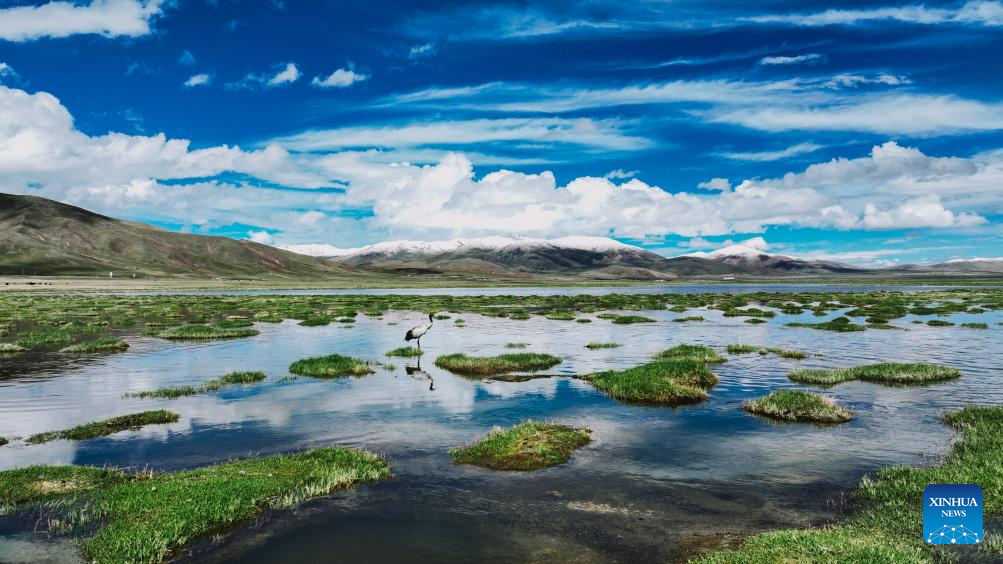Scenery of Qinghai Longbao National Nature Reserve