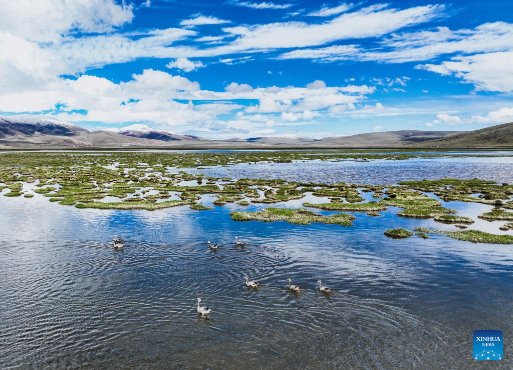 Scenery of Qinghai Longbao National Nature Reserve