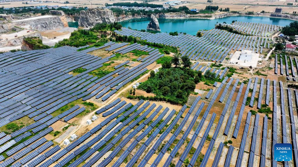 Years of rehabilitation turn wastelands into thriving ecosystems in E China's Shandong