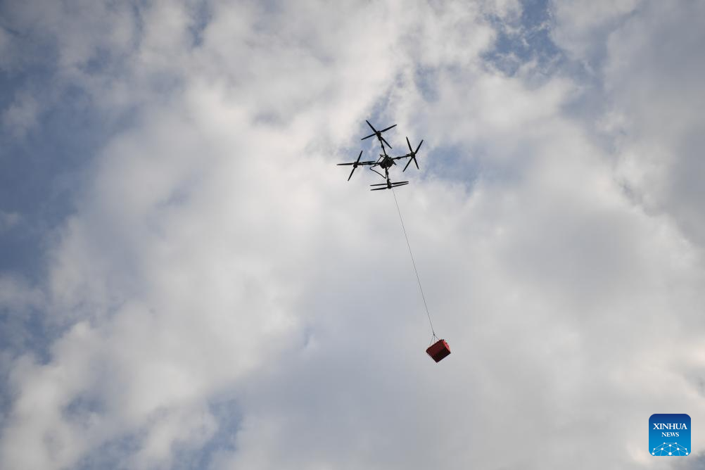 Staff members use drones to transport lychees in Maoming City, China's Guangdong