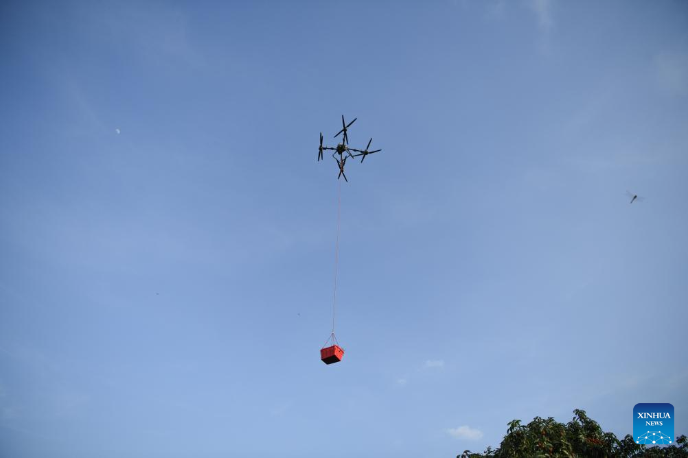 Staff members use drones to transport lychees in Maoming City, China's Guangdong