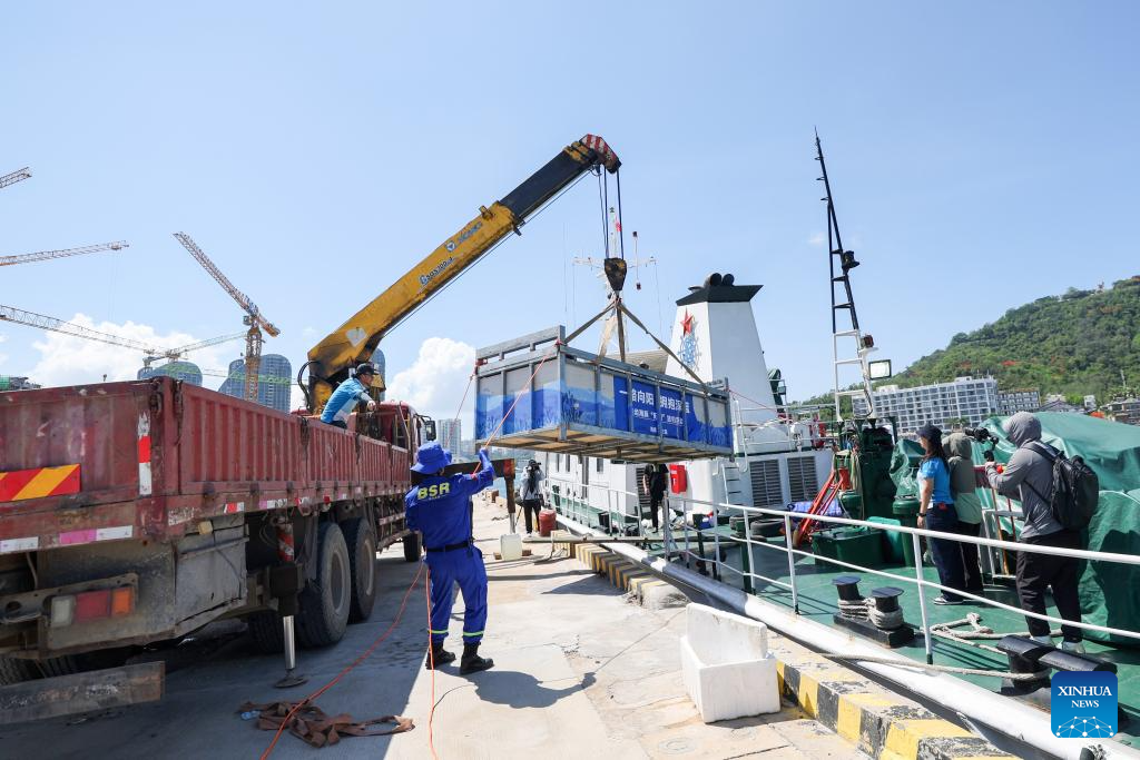 Stranded dolphin returns to sea after receiving specialized care in S China