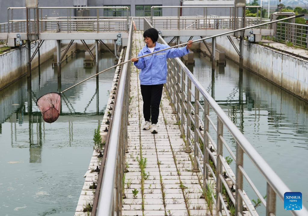 East China's Yancheng city scales up efforts to promote seawater desalination technologies