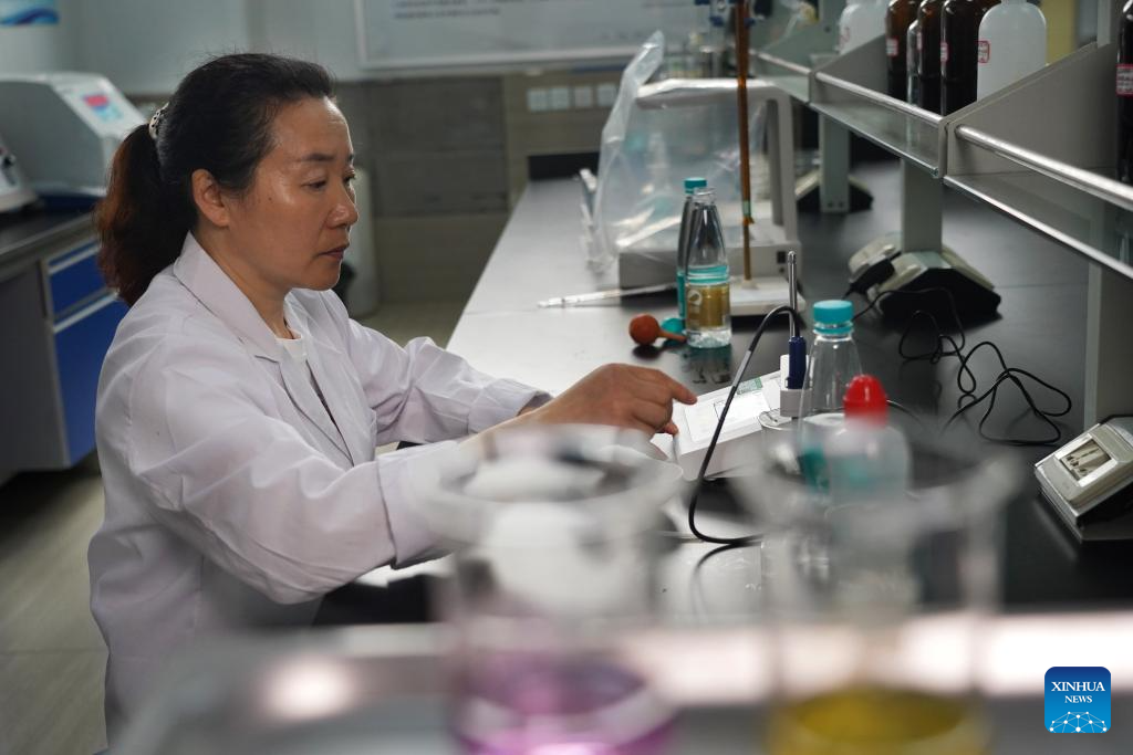 East China's Yancheng city scales up efforts to promote seawater desalination technologies