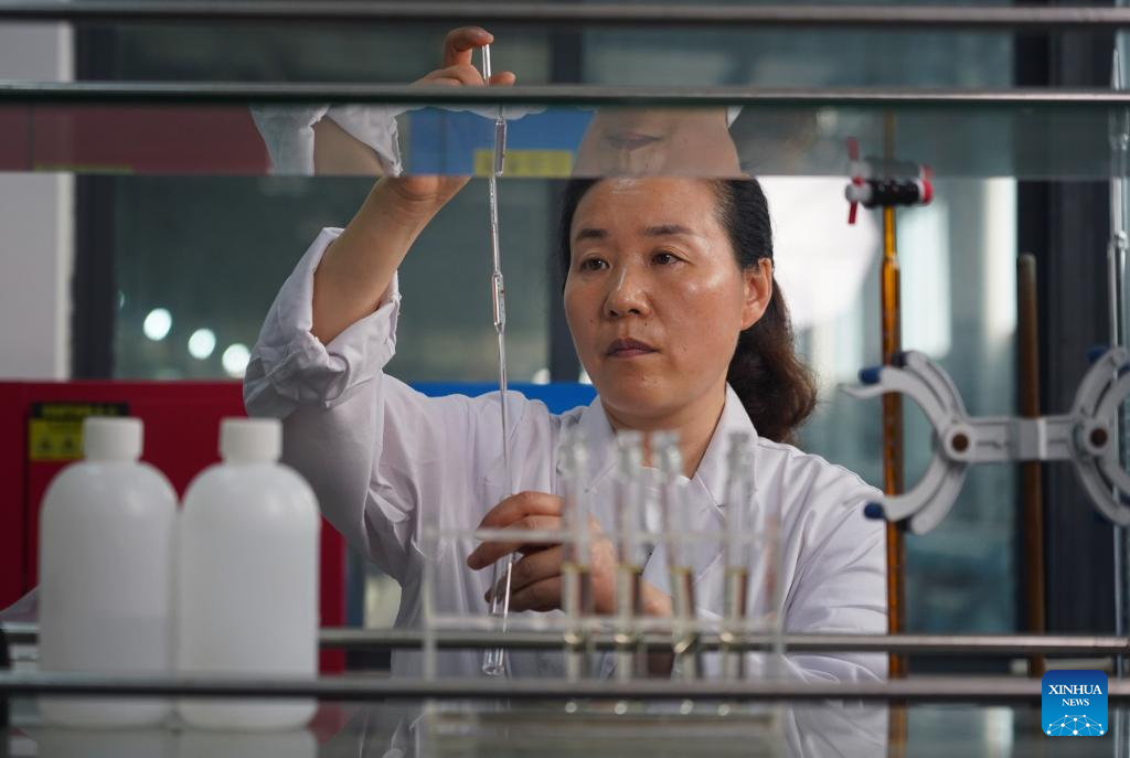 East China's Yancheng city scales up efforts to promote seawater desalination technologies