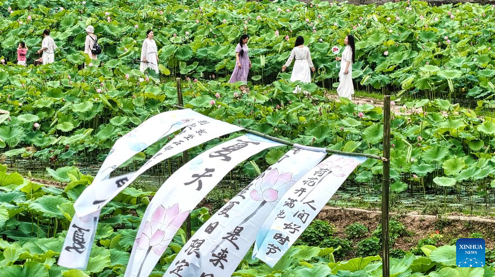 Visitors delight in summer blossoms across China