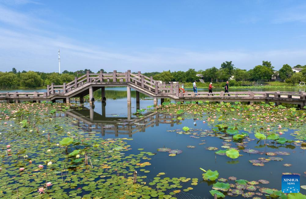 Visitors delight in summer blossoms across China