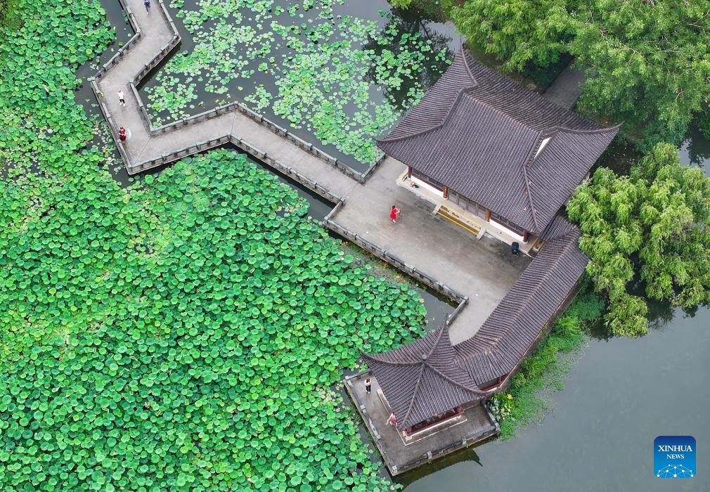 Visitors delight in summer blossoms across China