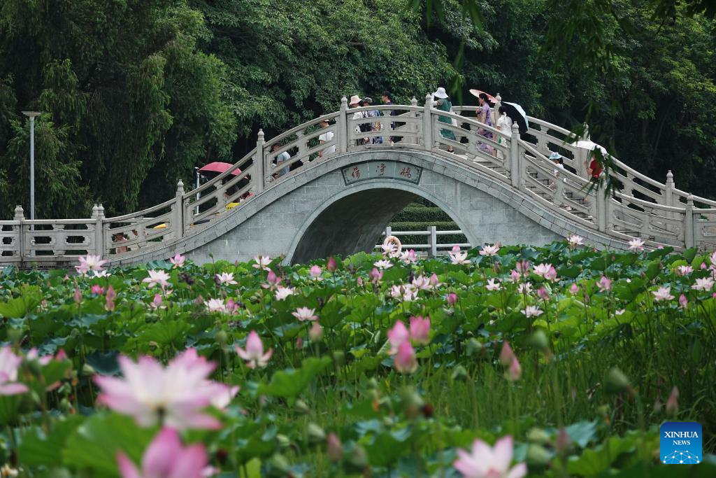 Visitors delight in summer blossoms across China