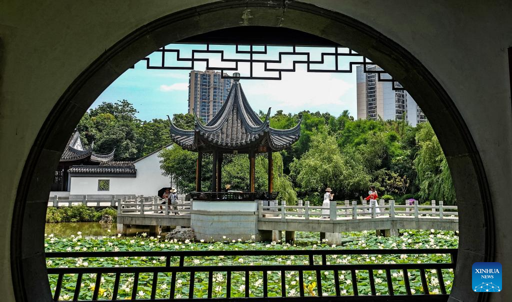 Visitors delight in summer blossoms across China