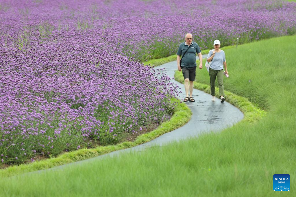 Visitors delight in summer blossoms across China