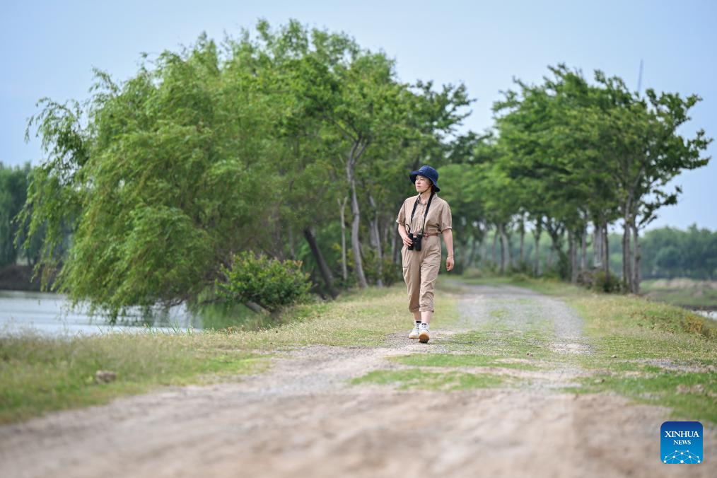Guardian of milu deer devotes herself to pursuing harmony between humanity and nature