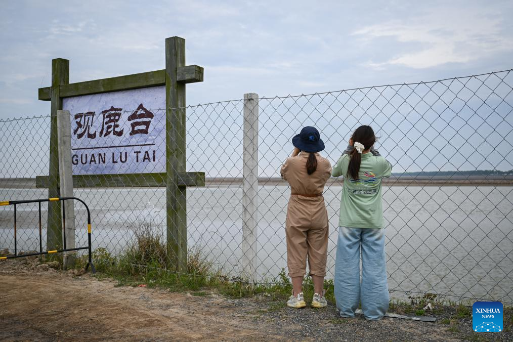 Guardian of milu deer devotes herself to pursuing harmony between humanity and nature