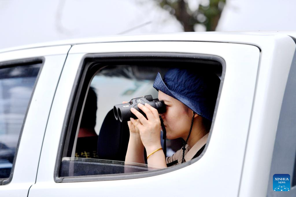 Guardian of milu deer devotes herself to pursuing harmony between humanity and nature