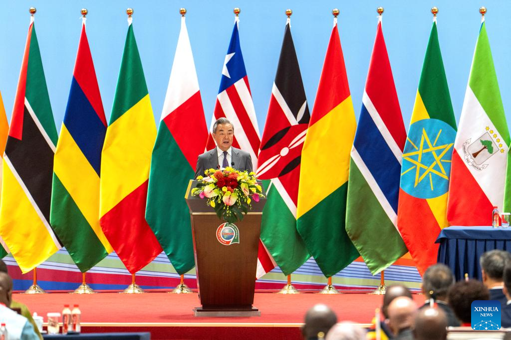 China, Africa push implementation of FOCAC Beijing Summit outcomes