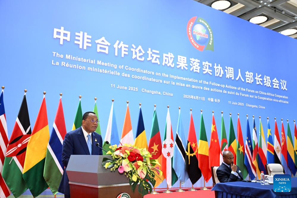 China, Africa push implementation of FOCAC Beijing Summit outcomes